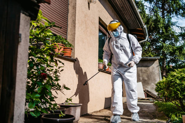 Best Cockroach Control Services  in Ontonagon, MI