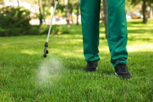 Best Rodent Control Near Me  in Ontonagon, MI