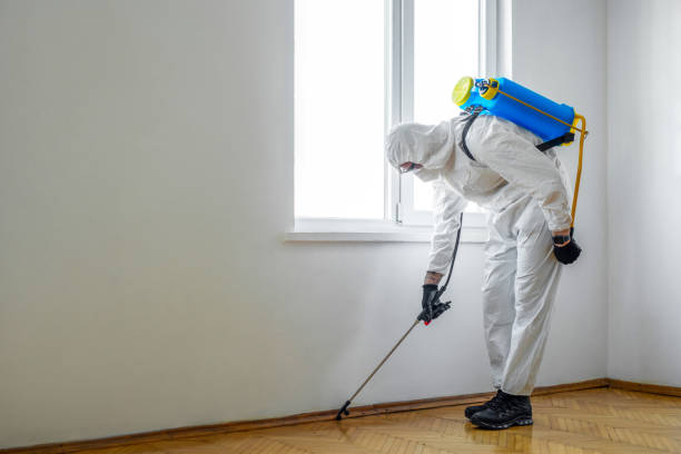 Best Best Pest Control Companies  in Ontonagon, MI