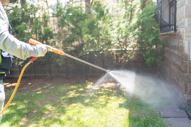 Best Mosquito Control Services  in Ontonagon, MI