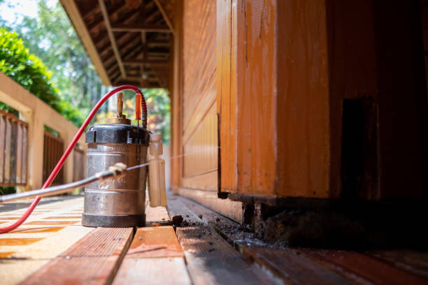 Best Affordable Pest Control Services  in Ontonagon, MI