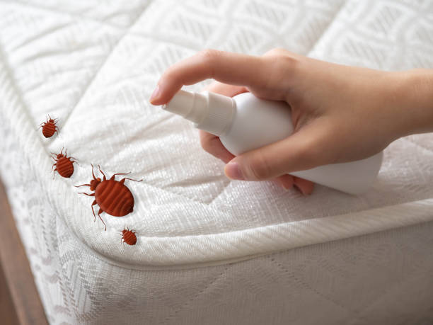 Ontonagon, MI Pest Control Company
