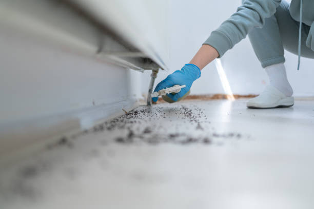 Best Pest Removal Services  in Ontonagon, MI